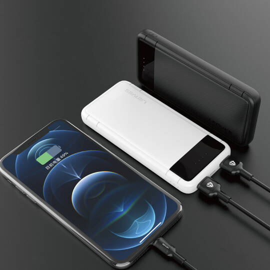 Lenyes PX133P Led Işık Göstergeli Taşınabilir Powerbank 10W 10000mAh - 5