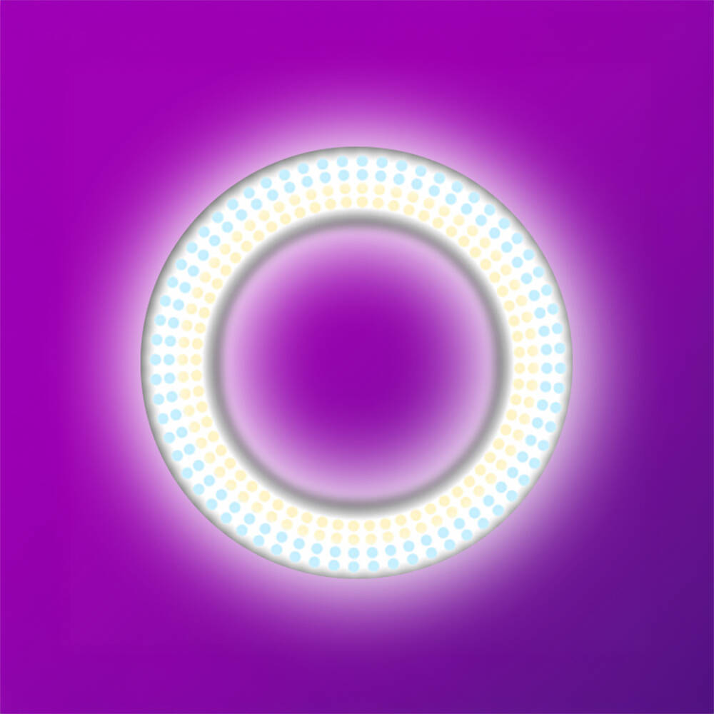 Zore LJJ22 RGB Light 56cm Işıklı Telefon Tutucu Ring Light - 4
