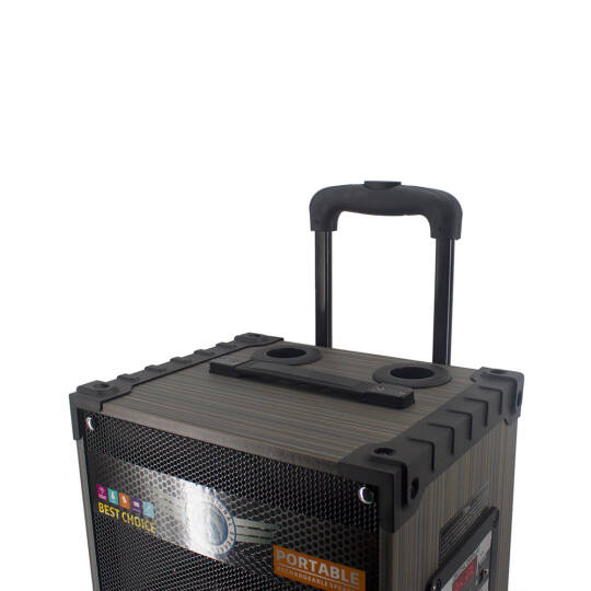 Zore LT-912 Dijital LED Göstergeli FM Radyolu Mikrofonlu Gitar Girişli TWS 12 inç Stereo Bass Kablosuz Karaoke Hoparlör - 4